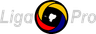 Serie B de Ecuador logo